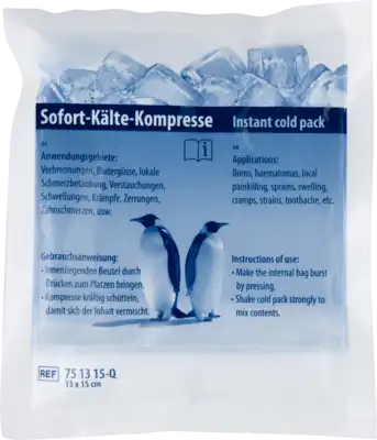 SOFORT-KÄLTE Kompresse Quick 15x20 cm