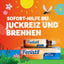 Fenistil Kühl Roll-on 8 ml – kühlt bei Insektenstichen & Sonnenbrand
