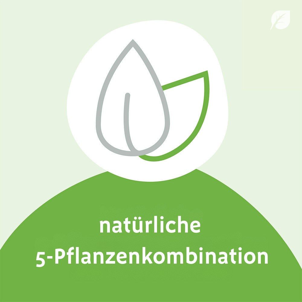 SINUPRET forte überzogene Tabletten – pflanzlich bei verstopfter Nase